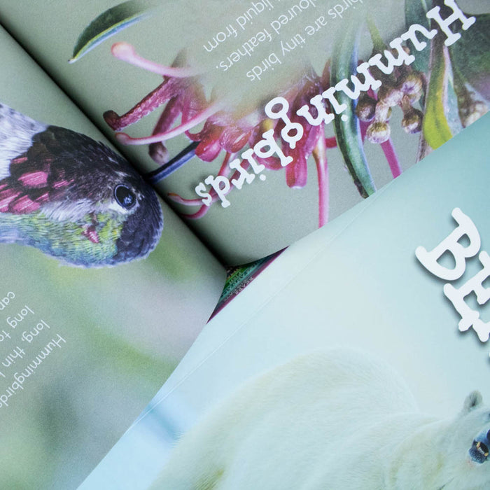 Children Introduction to Nature for Beginners 10 Books Collection Set (Bears, Big Cats, Birds) - The Book Bundle