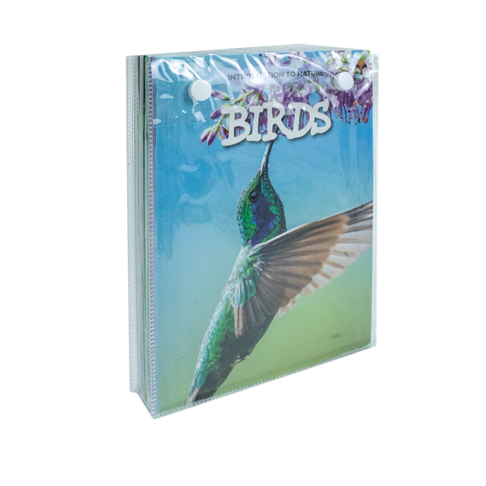 Children Introduction to Nature for Beginners 10 Books Collection Set (Bears, Big Cats, Birds) - The Book Bundle