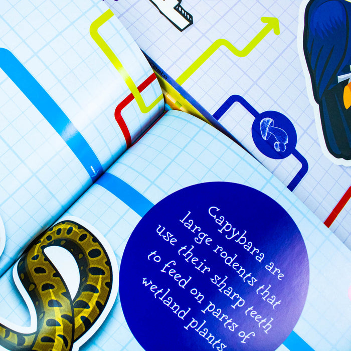 Flowchart Explorers Ecosystems STEM 6 Geography Science Books Collection Set - The Book Bundle