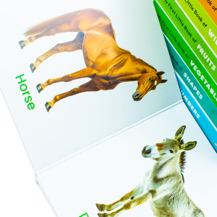 My First Little Library 10 Books Set Collection: (ABC, Shapes, Numbers, First Words, Opposites, Wild Animals, Fruits, Vegetables, Fram Animals, Colours) Hardcover - The Book Bundle