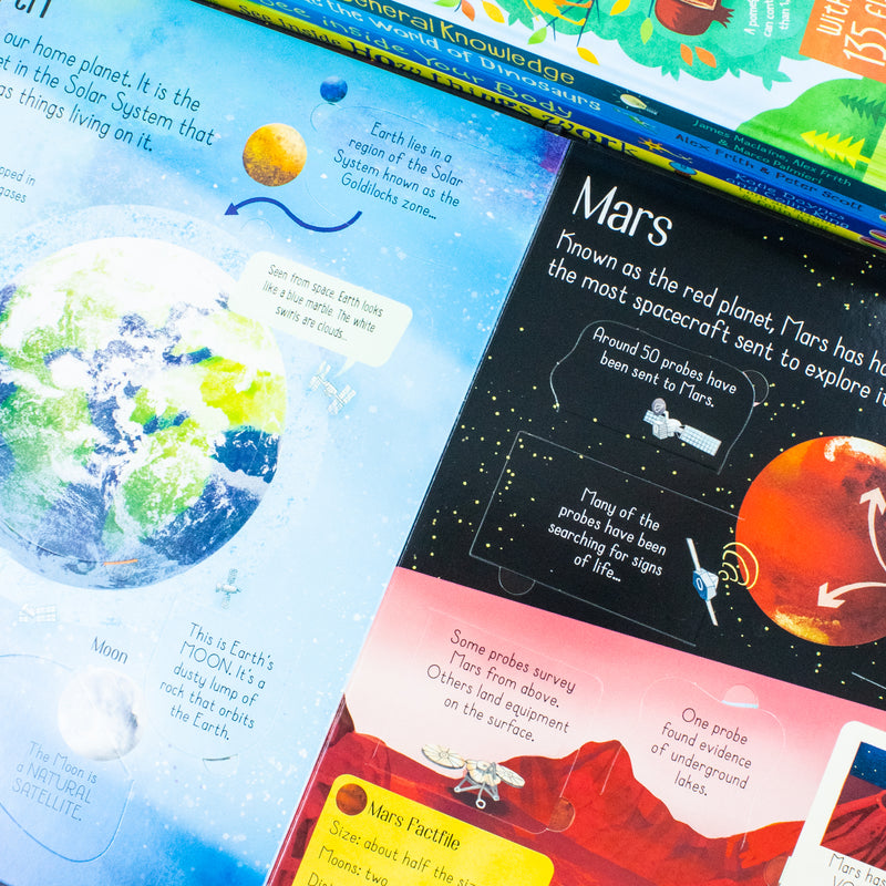 Usborne See Inside collection with 5 educational lift-the-flap books on dinosaurs, world, and more, featuring over 350 flaps to explore.