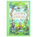 Aesop's Fables (Leather-bound) - The Book Bundle