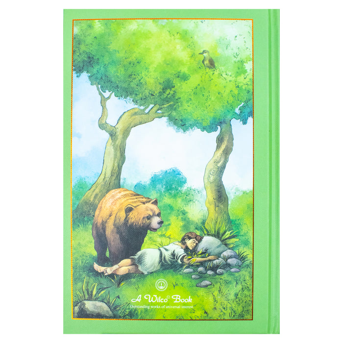 Aesop's Fables (Leather-bound) - The Book Bundle