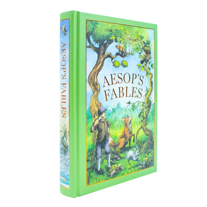 Aesop's Fables (Leather-bound) - The Book Bundle