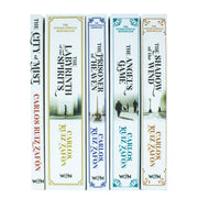 W&N Ltd collection of five Cemetery of Forgotten Series books by Carlos Ruiz Zafon, featuring dark, atmospheric cover art.