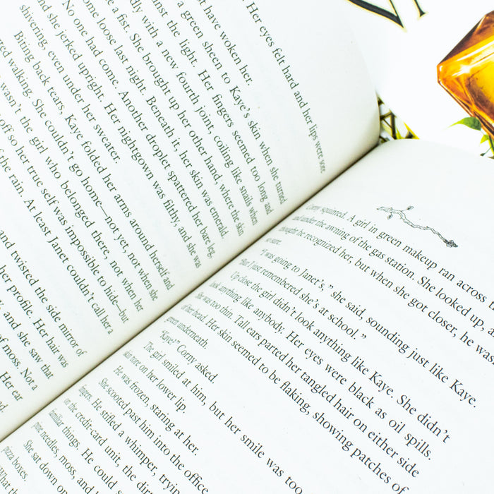 Modern Faerie Tale Series 3 Books Collection Set By Holly Black (Tithe, Valiant, Ironside) - The Book Bundle