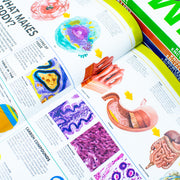 Knowledge Encyclopedias Collection 5 Books Set By DK (Human Body, Science, Space, Animal & Dinosaur) - The Book Bundle