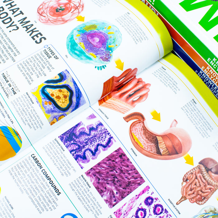 Knowledge Encyclopedias Collection 5 Books Set By DK (Human Body, Science, Space, Animal & Dinosaur) - The Book Bundle