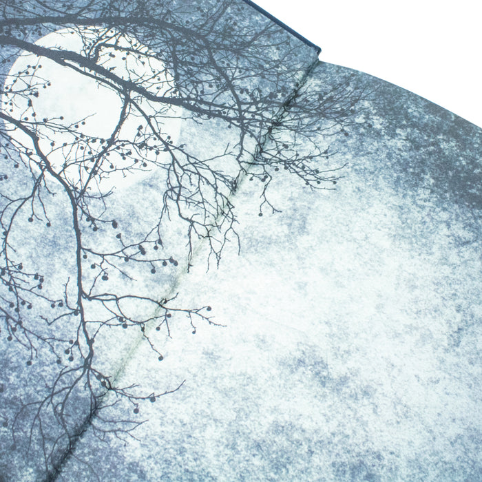 Bram Stoker:Dracula And Other Horror Classics (Leather-bound) - The Book Bundle