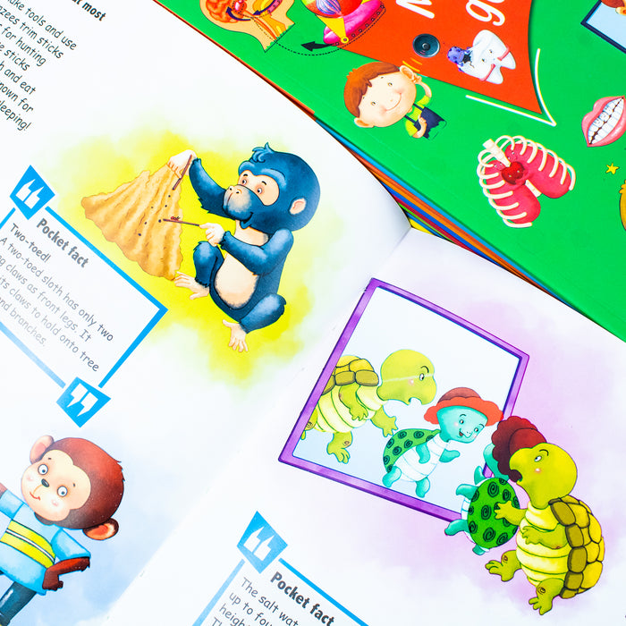 Tell Me What? 12 Books Collection Set (What are Robots Made of, What Helps Bats See In the Dark, What Is the) - The Book Bundle