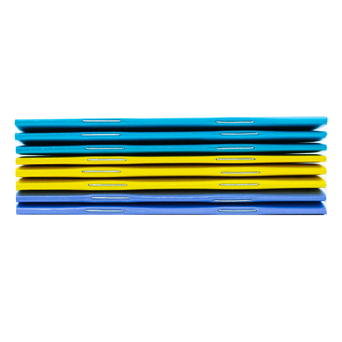 Bob Books - Long Vowels Box Set Phonics, Ages 4 and Up, Kindergarten, First Grade (Stage 3: Developing Reader): 05 - The Book Bundle