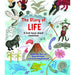 The Story of Life: A First Book about Evolution - The Book Bundle
