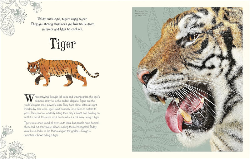 An Anthology of Intriguing Animals by Ben Hoare (DK Children's Anthologies)