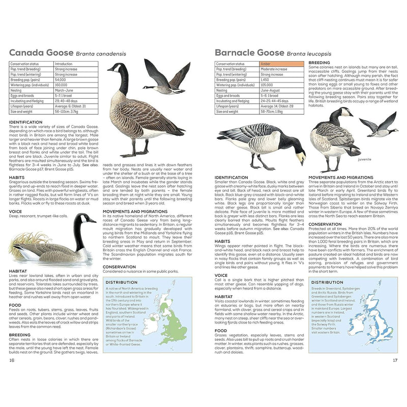 RSPB Handbook of British Birds: Fifth edition Paperback