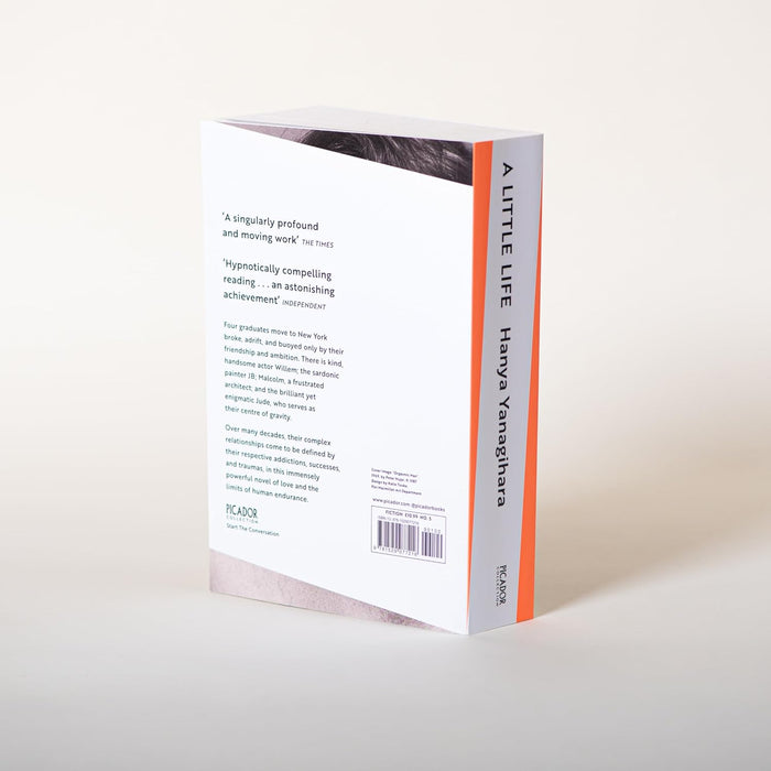 A Little Life (Picador Collection) by Hanya Yanagihara - The Book Bundle