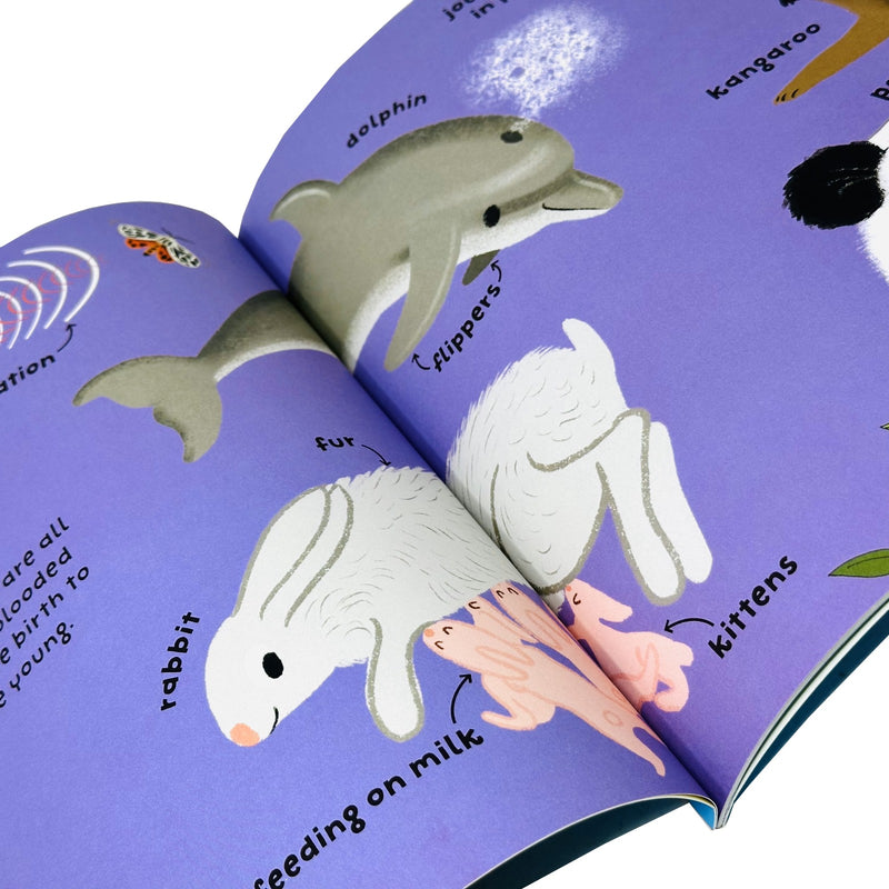 Big Words for Little Experts 10 Books Collection Set(Animals, Birds, Body, Bugs) - The Book Bundle