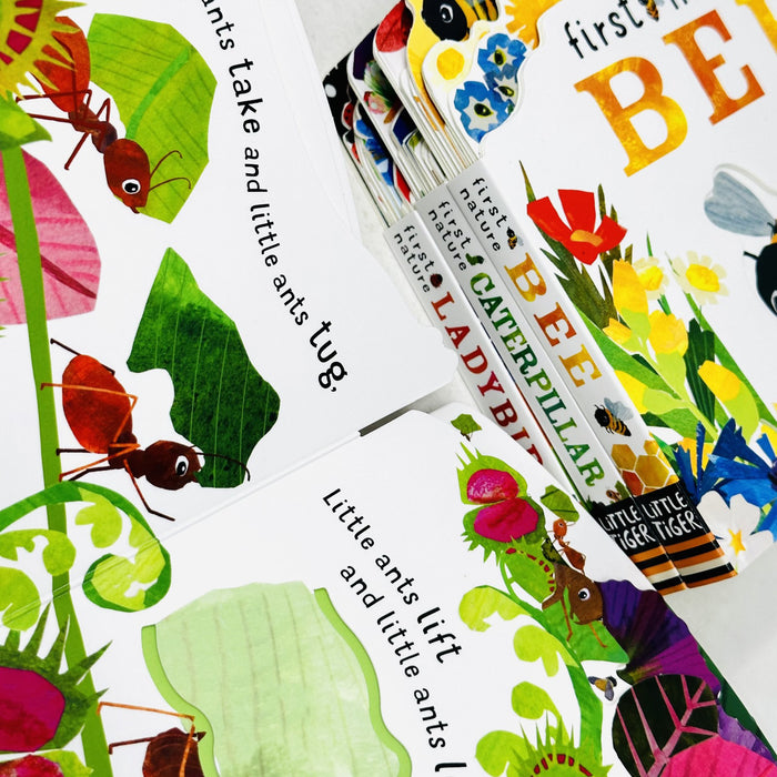 First Nature 4 Books Childrens Collection Set (ANT, BEE, CATERPILLAR and LADYBIRD) - The Book Bundle