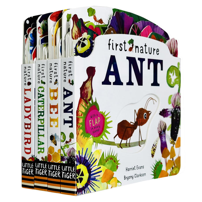 First Nature 4 Books Childrens Collection Set (ANT, BEE, CATERPILLAR and LADYBIRD) - The Book Bundle