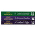 Lancashire Girls Series 3 Books Set by Libby Ashworth A Mothers Fight,Convict - The Book Bundle