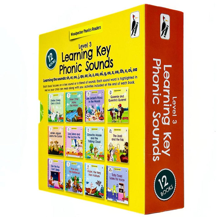 My Third Phonic Sounds 12 Books Collection Box Set with Included Fun Activities (Learning Key Level 3) - The Book Bundle