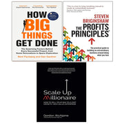 Set of three books including "How Big Things Get Done," "Profits Principles," and "Scale Up Millionaire" by Flyvbjerg, Gardner, Briginshaw, McAlpine.