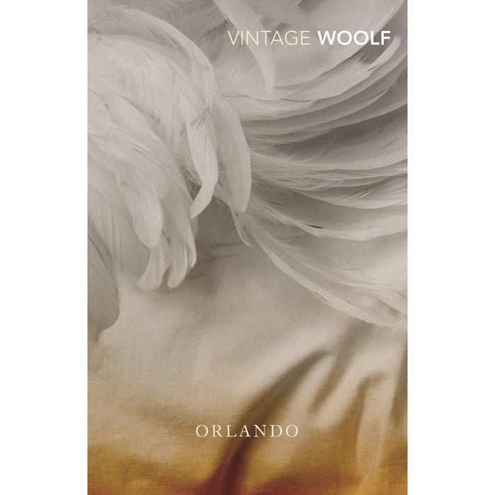 Virginia Woolf Collection 5 Books Set Waves, To the Lighthouse,Orlando - The Book Bundle