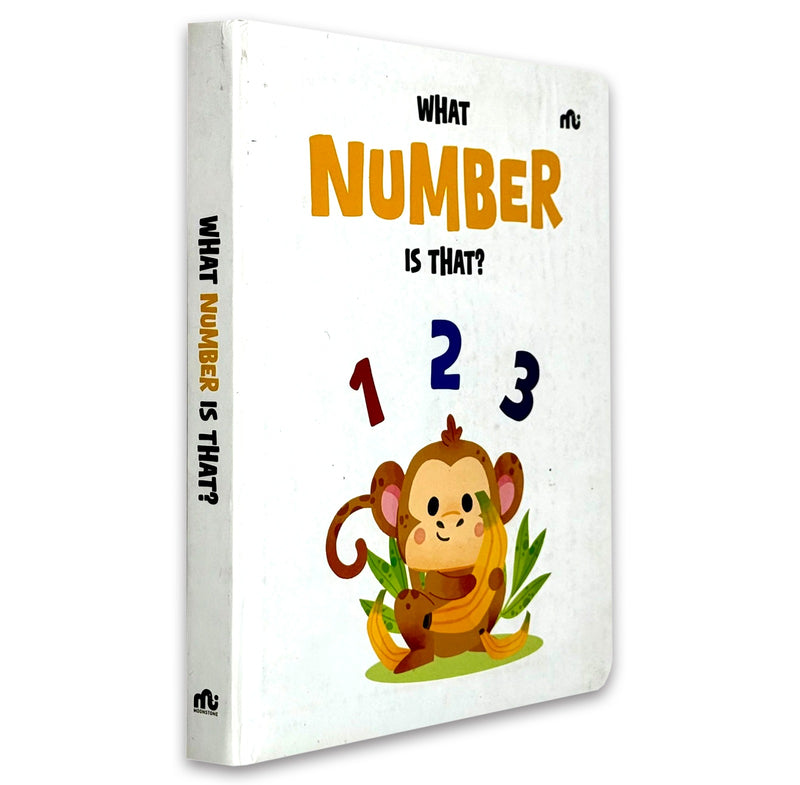 What Number Is That? Early Years Number Recognition Educational Book - Fiction -BoardBook