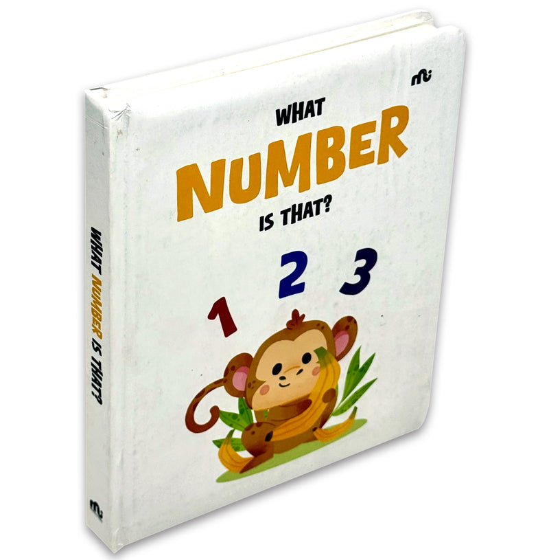 What Number Is That? Early Years Number Recognition Educational Book - Fiction -BoardBook