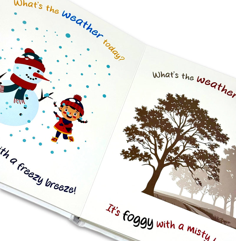 What's The Weather Today A Beautiful Picture Book About Rain And Seasons By Rupabai - Ages 3–5 - BoardBook