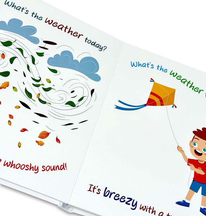 What's The Weather Today A Beautiful Picture Book About Rain And Seasons By Rupabai - Ages 3–5 - BoardBook
