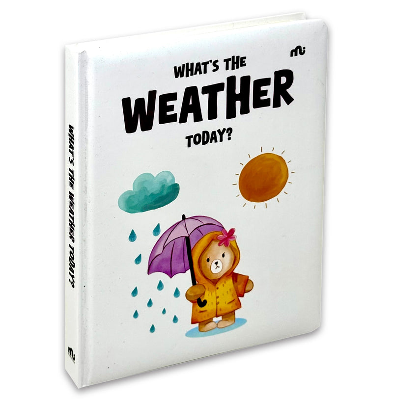 What's The Weather Today A Beautiful Picture Book About Rain And Seasons By Rupabai - Ages 3–5 - BoardBook