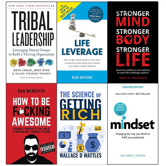 Tribal Leadership, Life Leverage, Stronger Mind, How to Be Fucking Awesome, The Science of Getting Rich and mindset  6 Books Collection Set - The Book Bundle