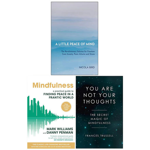 A Little Peace of Mind, Mindfulness, You Are Not Your Thoughts 3 Books Collection Set - The Book Bundle