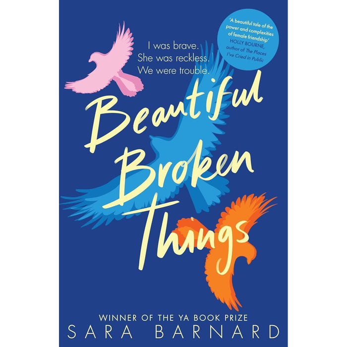 Sara Barnard 3 Books Collection Set (A Quiet Kind of Thunder,Beautiful Broken Things,Goodbye, Perfect) - The Book Bundle
