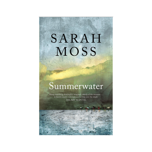 Summerwater by Sarah Moss: A Devastating Story of Kinship and Cruelty in Scottish Highlands - The Book Bundle