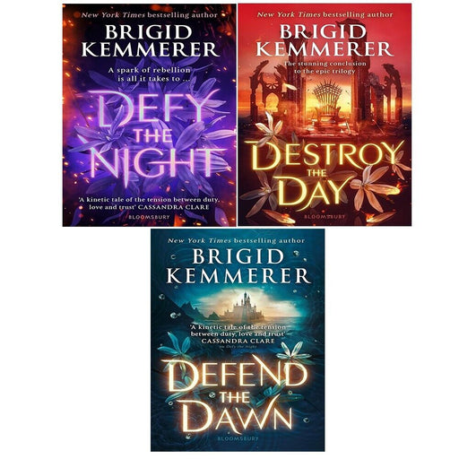 Defy the Night Series Collection 3 Books Set by Brigid Kemmerer Destroy the Day - The Book Bundle