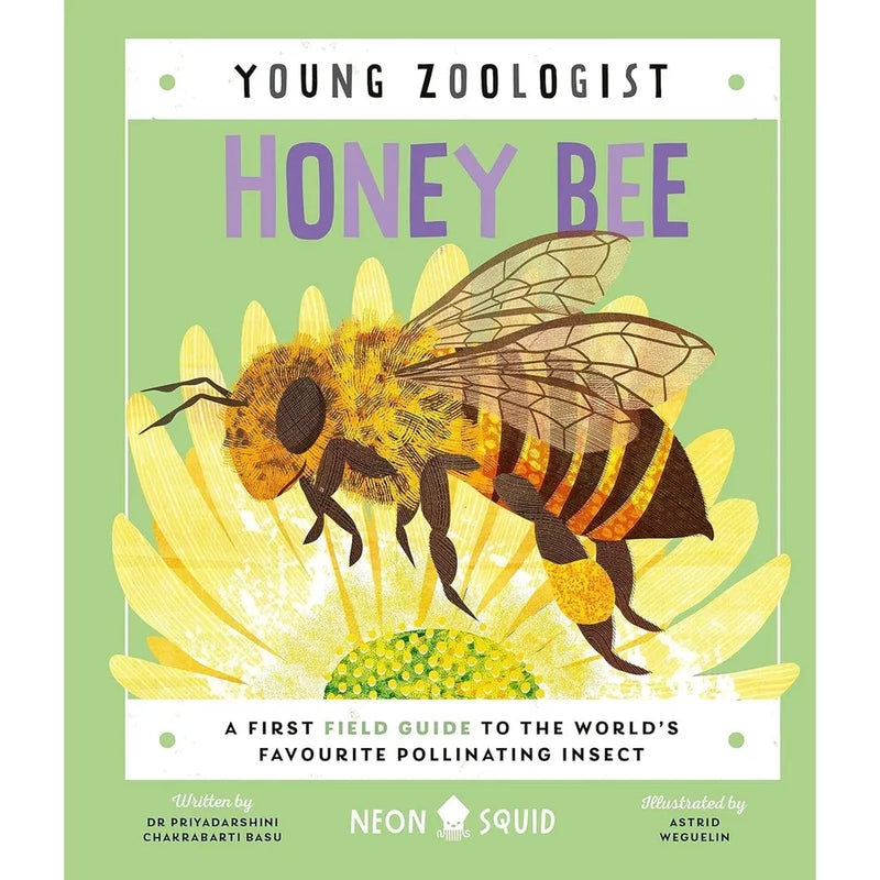 Young Zoologist Series 9 books set by Neon Squid featuring animals like humpback whale, panda, tiger, and koala, colorful covers.