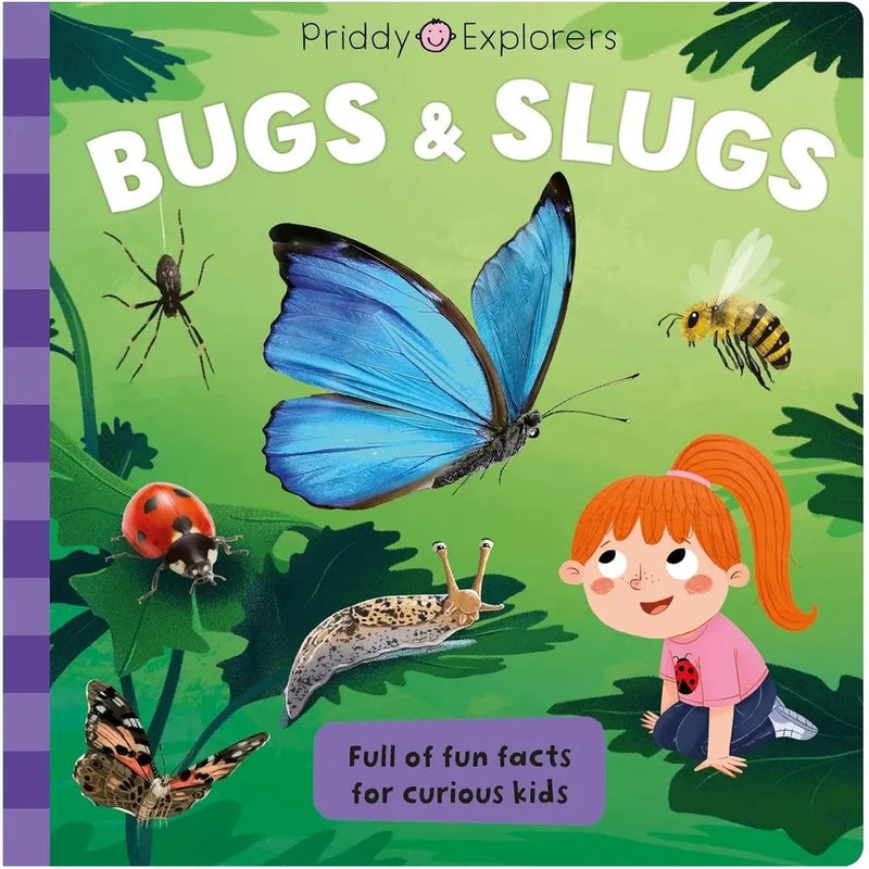 Priddy Books Explorers Series 8-book collection set featuring space, sharks, dinosaurs, human body, bugs, volcanoes, rocks, and machines.