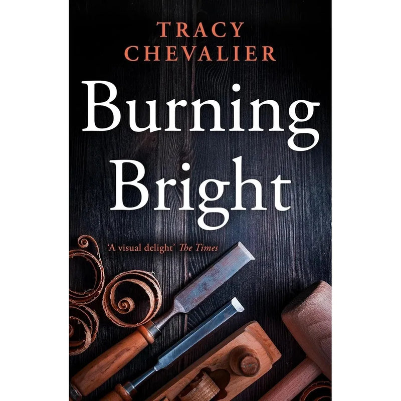 Tracy Chevalier Collection 4 Books Set(Remarkable Creatures, Falling Angels, The Virgin Blue & Burning Bright) - The Book Bundle