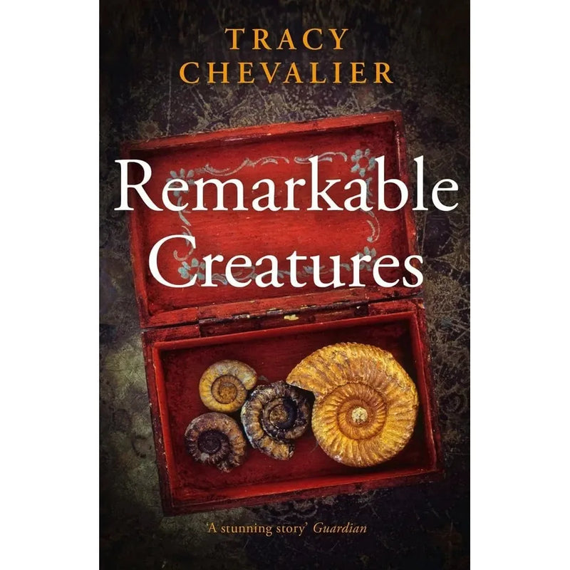 Tracy Chevalier Collection 4 Books Set(Remarkable Creatures, Falling Angels, The Virgin Blue & Burning Bright) - The Book Bundle