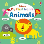 Usborne My First Words Collection 5 Books Set By Fiona Watt - The Book Bundle
