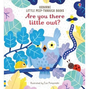 Little Lift and Look 8 Books Collection Set By Anna Milbourne - The Book Bundle