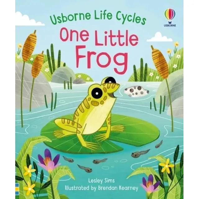 Usborne Life Cycles Collection 7 Books Set by Lesley Sims(Seed,Bee, Chick , Frog ,Tree,Butterfly & Raindrop) - The Book Bundle