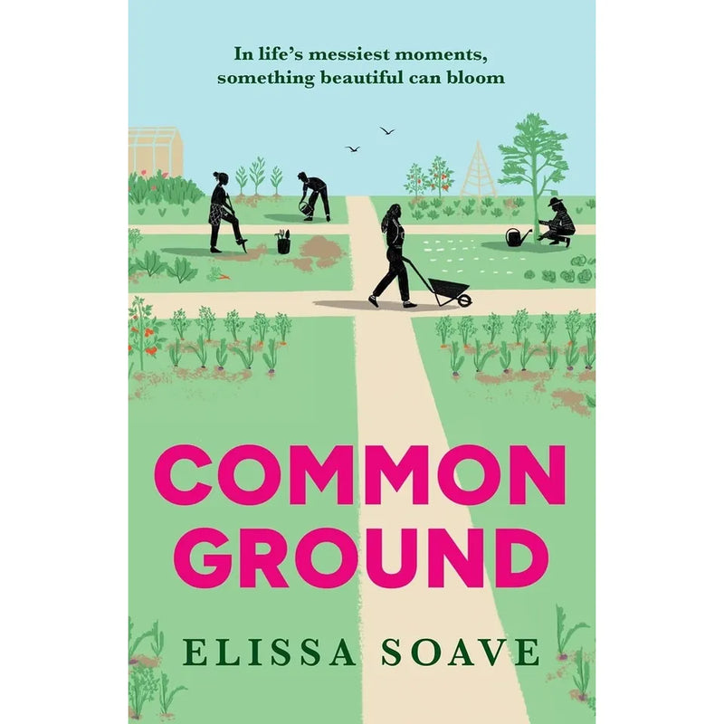 Elissa Soave 3 Books Collection Set(Common Ground HB,Ginger and Me & Graffiti Girls)