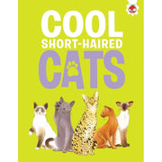 Children's Cats Series 4 Books collection set by Eliza Jeffery, non-fiction paperback books featuring cat illustrations
