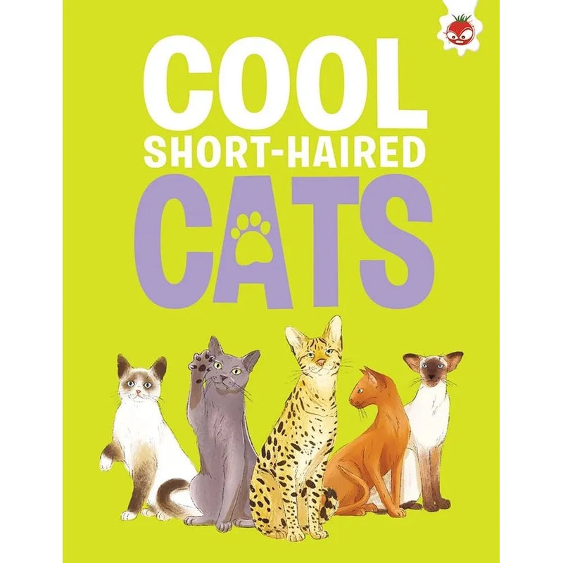 Children's Cats Series 4 Books collection set by Eliza Jeffery, non-fiction paperback books featuring cat illustrations