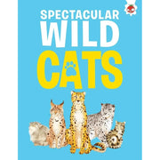 Children's Cats Series 4 Books collection set by Eliza Jeffery, non-fiction paperback with colorful cat illustrations