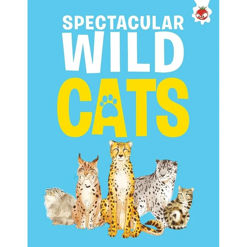 Children's Cats Series 4 Books collection set by Eliza Jeffery, non-fiction paperback with colorful cat illustrations
