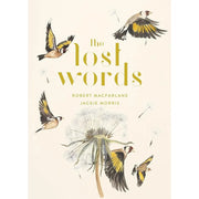 Collection of three hardcover books by Robert Macfarlane including The Book of Birds, The Lost Spells, and The Lost Words.