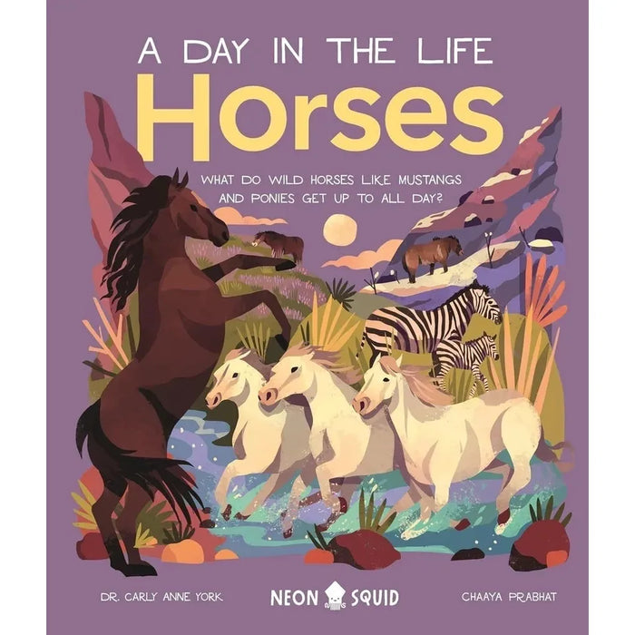 A Day in the Life Series 8 Books Collection Set (Bugs, Big Cats, Sharks, Horses, Birds, Frogs, Bears, Snakes) - The Book Bundle